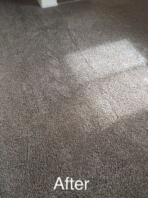 Before & After Carpet Cleaning in San Bernardino, CA (2)