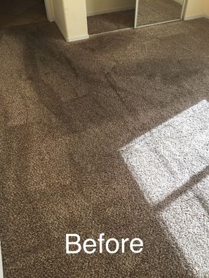 Before & After Carpet Cleaning in San Bernardino, CA (1)