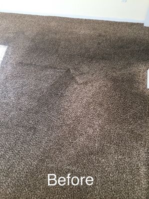 Before & After Carpet Cleaning in San Bernardino, CA (3)