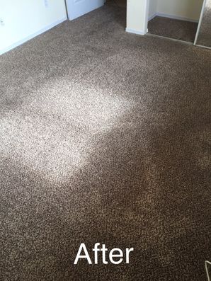 Before & After Carpet Cleaning in San Bernardino, CA (4)